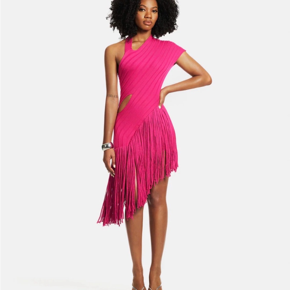 Hanifa Vibrant Pink Asymmetrical Fringe Dress